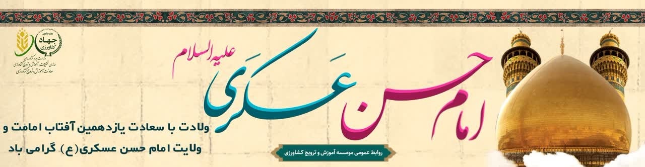 ولادت